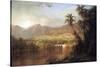 Tropical Scene-Frederic Edwin Church-Stretched Canvas