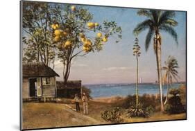 Tropical Scene-Albert Bierstadt-Mounted Giclee Print