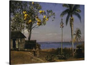 Tropical Scene-Albert Bierstadt-Stretched Canvas