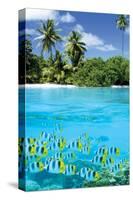 Tropical Scenery II-null-Stretched Canvas