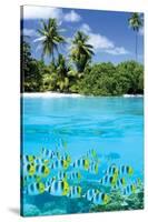 Tropical Scenery II-null-Stretched Canvas