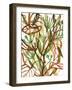 Tropical Scramble-Paula Mills-Framed Giclee Print