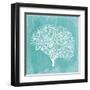 Tropical Sea Fan 1-Evangeline Taylor-Framed Art Print