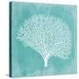 Tropical Sea Fan 1-Evangeline Taylor-Stretched Canvas