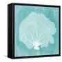 Tropical Sea Fan 2-Evangeline Taylor-Framed Stretched Canvas