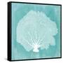 Tropical Sea Fan 2-Evangeline Taylor-Framed Stretched Canvas