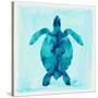 Tropical Sea Turtle-Evangeline Taylor-Stretched Canvas