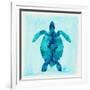 Tropical Sea Turtle-Evangeline Taylor-Framed Art Print