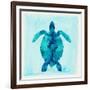 Tropical Sea Turtle-Evangeline Taylor-Framed Art Print