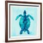 Tropical Sea Turtle-Evangeline Taylor-Framed Art Print