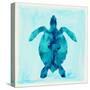 Tropical Sea Turtle-Evangeline Taylor-Stretched Canvas