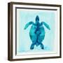 Tropical Sea Turtle-Evangeline Taylor-Framed Art Print