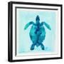 Tropical Sea Turtle-Evangeline Taylor-Framed Art Print