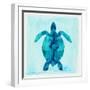 Tropical Sea Turtle-Evangeline Taylor-Framed Art Print