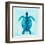 Tropical Sea Turtle-Evangeline Taylor-Framed Art Print