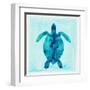 Tropical Sea Turtle-Evangeline Taylor-Framed Art Print