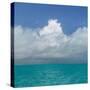 Tropical Seascape II-Kathy Mahan-Stretched Canvas