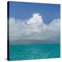 Tropical Seascape II-Kathy Mahan-Stretched Canvas