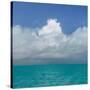 Tropical Seascape II-Kathy Mahan-Stretched Canvas