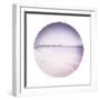 Tropical Serene - Sphere-Adam Brock-Framed Giclee Print