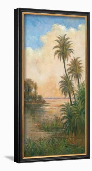 Tropical Serenity I-J^ D^ Davidson-Framed Art Print