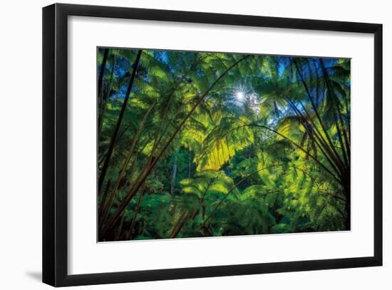 Tropical Shade-Dennis Frates-Framed Giclee Print