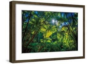 Tropical Shade-Dennis Frates-Framed Giclee Print