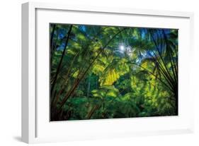 Tropical Shade-Dennis Frates-Framed Giclee Print