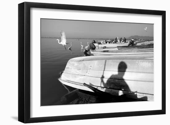 Tropical Shadows-14-Moises Levy-Framed Giclee Print