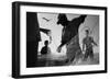 Tropical Shadows-15-Moises Levy-Framed Giclee Print