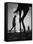 Tropical Shadows-20-Moises Levy-Framed Stretched Canvas