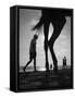 Tropical Shadows-20-Moises Levy-Framed Stretched Canvas