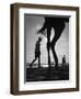Tropical Shadows-20-Moises Levy-Framed Premium Giclee Print