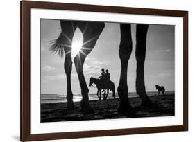 Tropical Shadows-21-Moises Levy-Framed Giclee Print