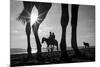 Tropical Shadows-21-Moises Levy-Mounted Giclee Print