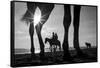 Tropical Shadows-21-Moises Levy-Framed Stretched Canvas