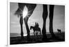 Tropical Shadows-21-Moises Levy-Framed Giclee Print