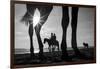 Tropical Shadows-21-Moises Levy-Framed Giclee Print