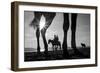 Tropical Shadows-21-Moises Levy-Framed Giclee Print