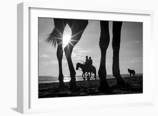 Tropical Shadows-21-Moises Levy-Framed Giclee Print