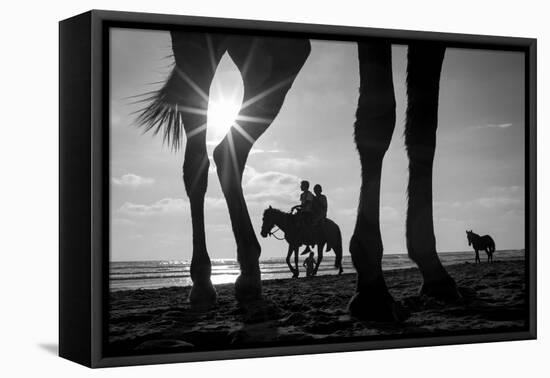 Tropical Shadows-21-Moises Levy-Framed Stretched Canvas