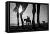 Tropical Shadows-21-Moises Levy-Framed Stretched Canvas