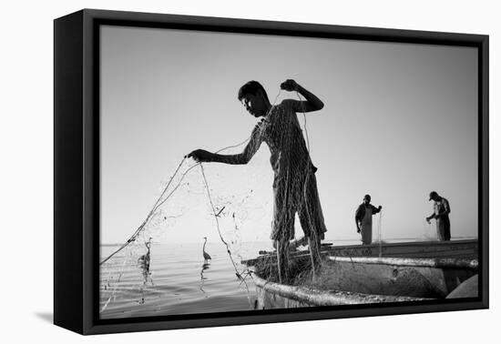 Tropical Shadows-22-Moises Levy-Framed Stretched Canvas