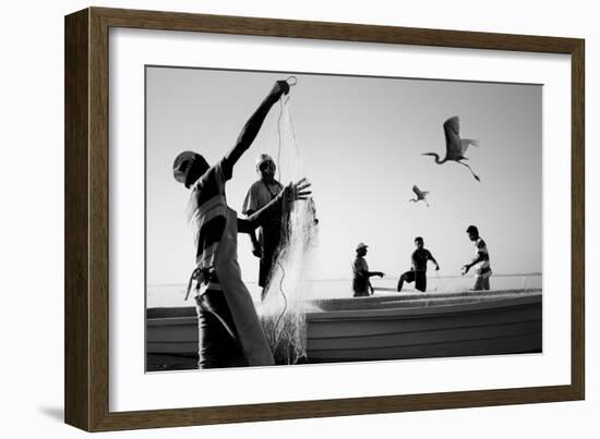 Tropical Shadows-24-Moises Levy-Framed Premium Giclee Print