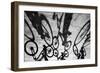 Tropical Shadows-26-Moises Levy-Framed Giclee Print