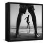 Tropical Shadows - 39-Moises Levy-Framed Stretched Canvas