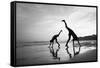 Tropical Shadows-50-Moises Levy-Framed Stretched Canvas