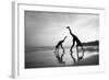 Tropical Shadows-50-Moises Levy-Framed Giclee Print