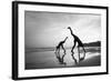 Tropical Shadows-50-Moises Levy-Framed Giclee Print