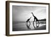 Tropical Shadows-50-Moises Levy-Framed Premium Giclee Print